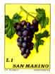 San Marino -- Grapes on Stamps